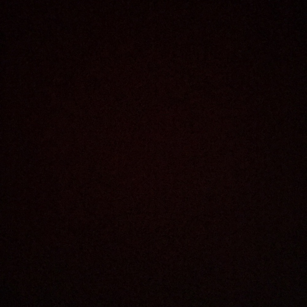 Meet your Posher, Bella